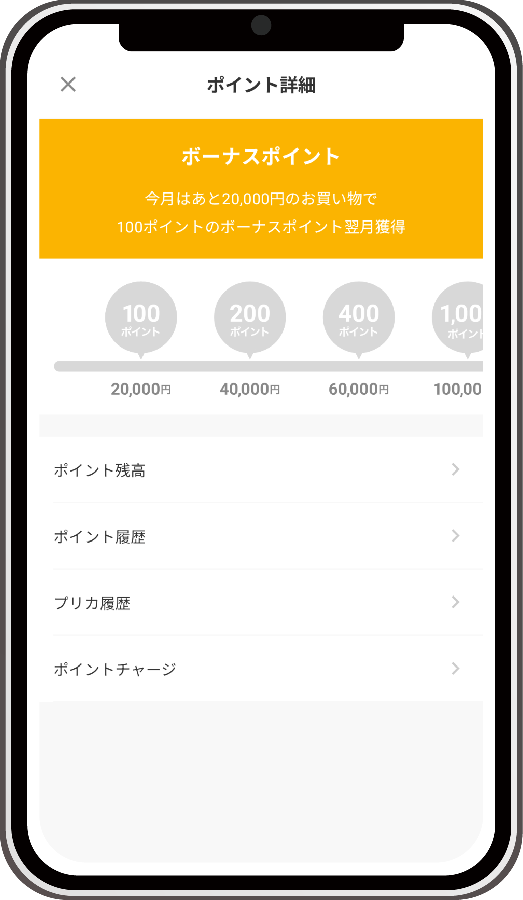 ポイント詳細